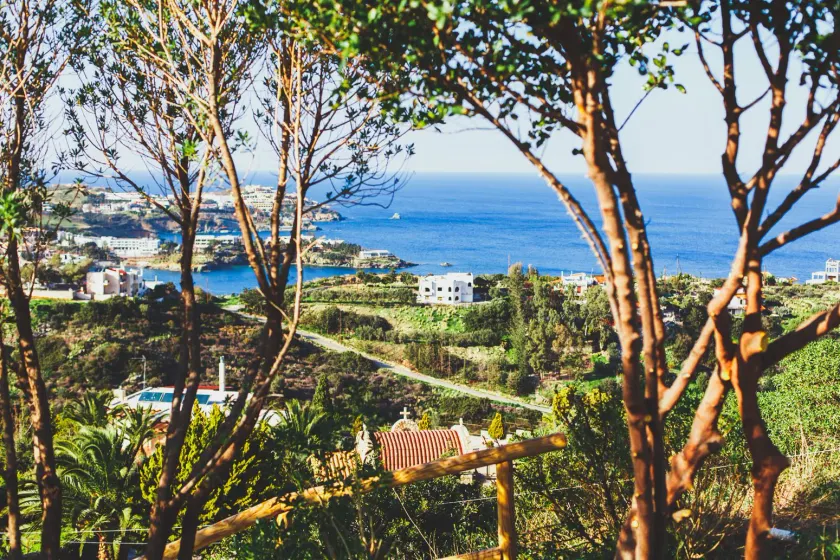 Wild Pear Villa - Image 1