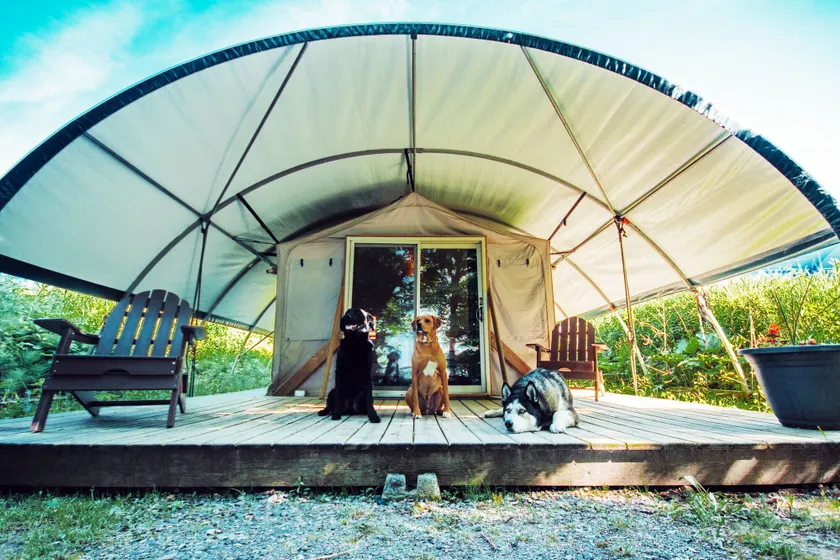 Long Point Eco-Adventures - Image 1