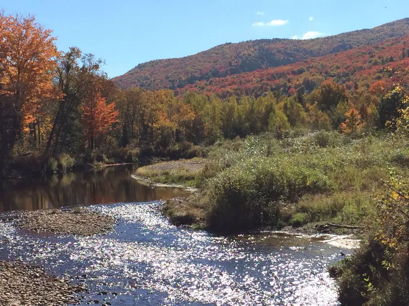 Moose Lodge and Cabins by Bretton Woods Vacations - Image 1