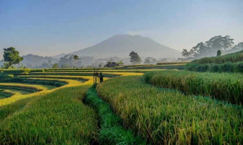 Gladak di Uma Bali - Image 1