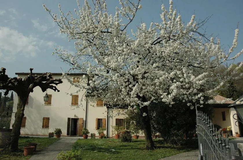 Albergo Volpara - Image 1