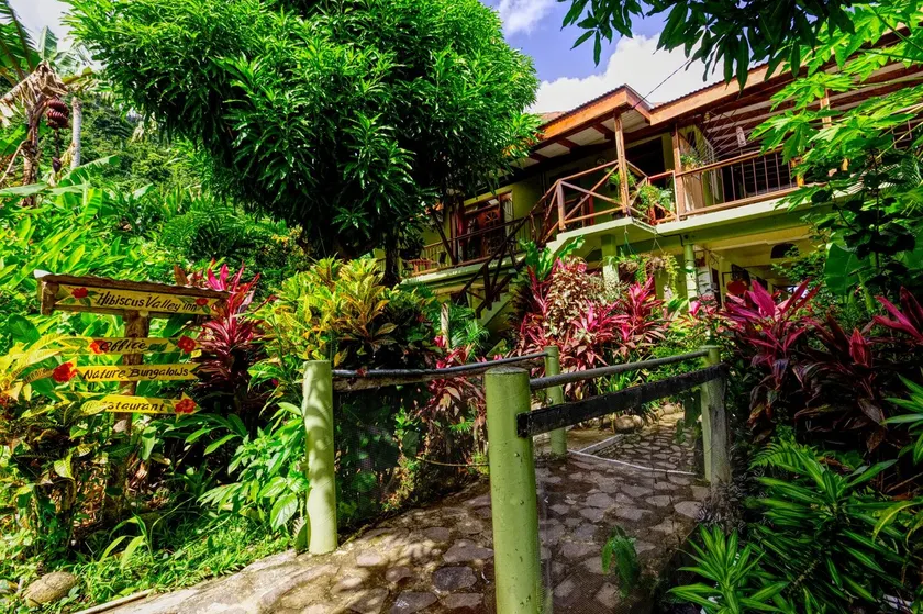 Hibiscus Valley Inn - Image 1