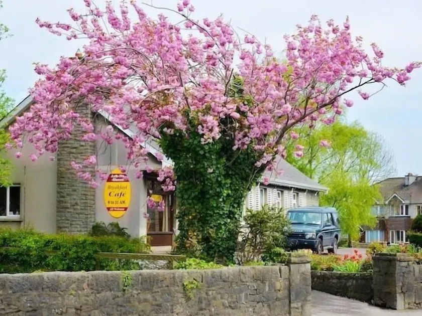 Ach na Sheen Guest House - Image 1