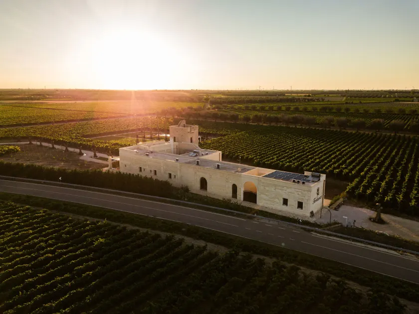 Masseria Torleanzi Wine Relais - Image 1