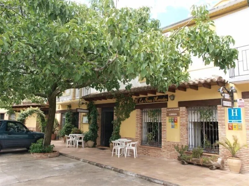 Hotel La Finca Mercedes - Image 1