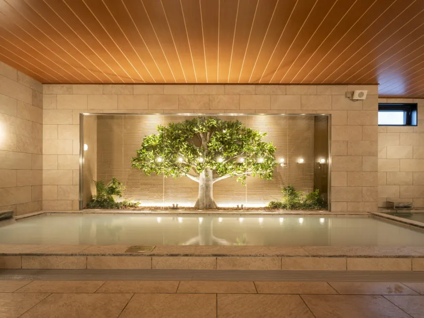 Tabino Hotel Aso Kumamoto Airport - Image 1