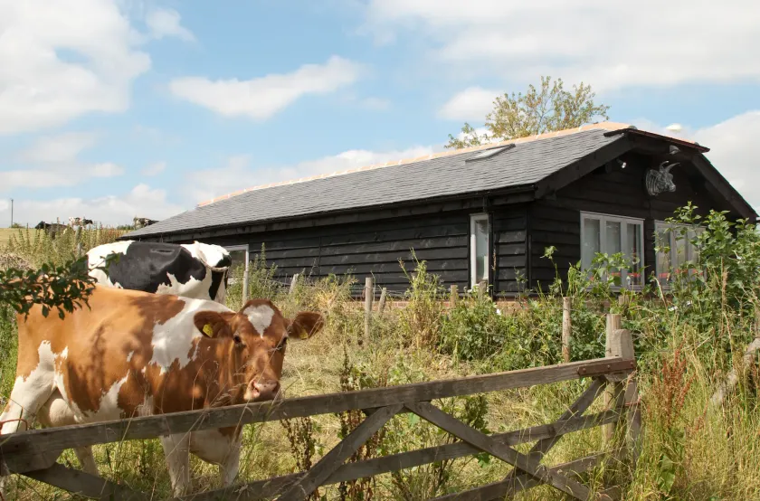 Bull Farm Studios - Image 1