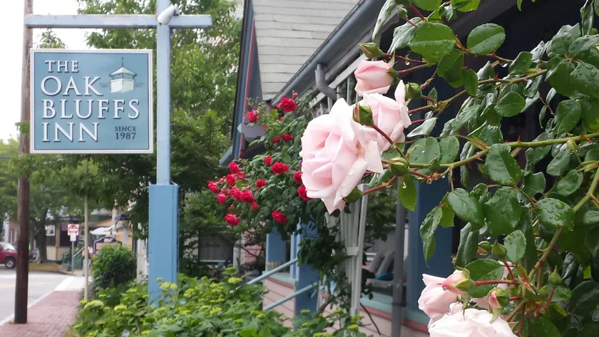 The Oak Bluffs Inn - Image 1