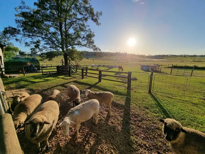 Clandulla Cottages & Farmstay - Image 1