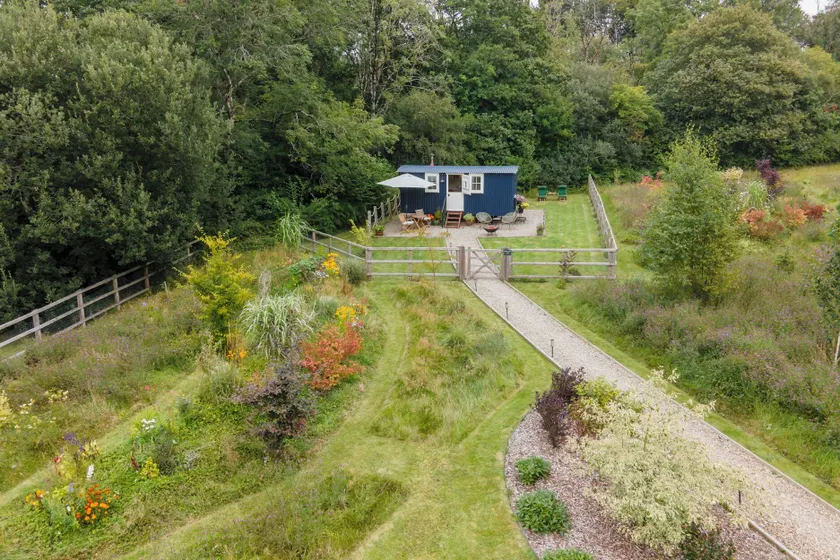 Bedwen - Image 1