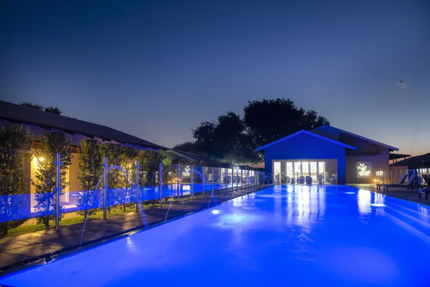 Palm Park Hotel - Image 1