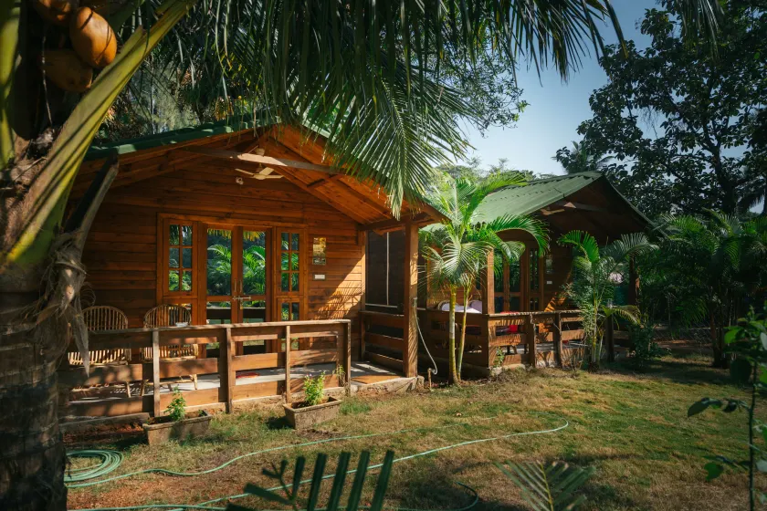 Oxygen Palolem - Image 1
