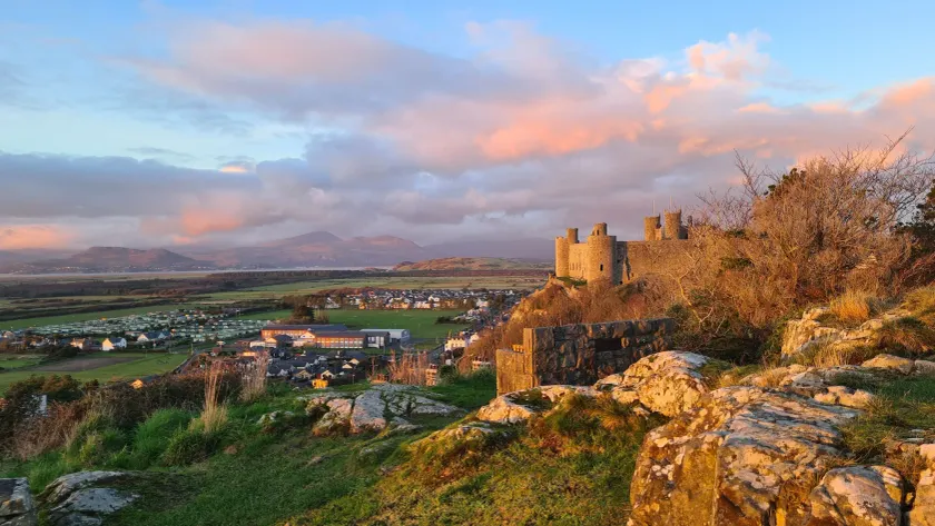Y Branwen Restaurant & Rooms - Adult Only and Dog Friendly - Image 1
