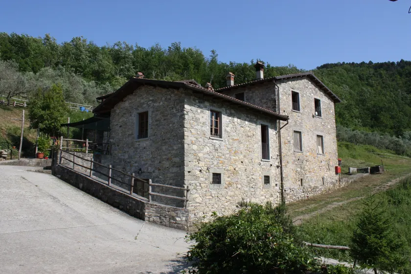 Le Chianine dei Tognoli - Image 1