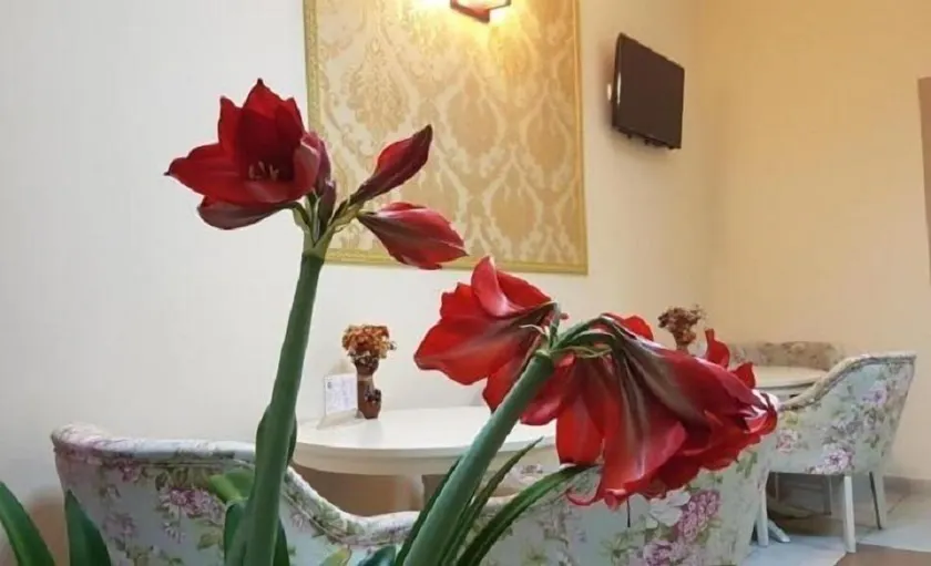 Hotel New - Image 1