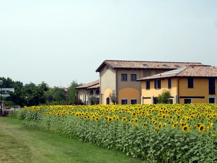 Hotel del Rio Srl - RISTORANTE e Azienda agricola - Image 1