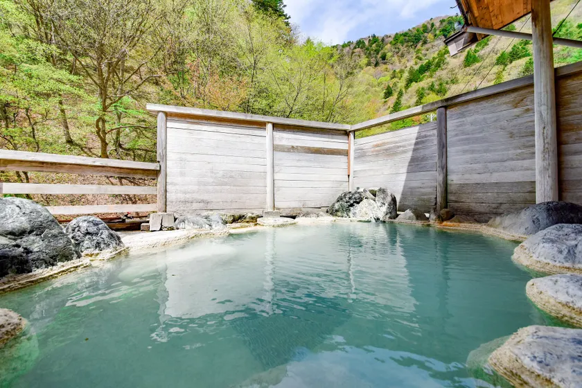 Shirahone Onsen Tsuruya Ryokan - Image 1