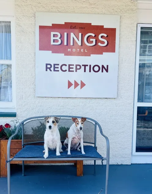 Bings Motel - Recepción