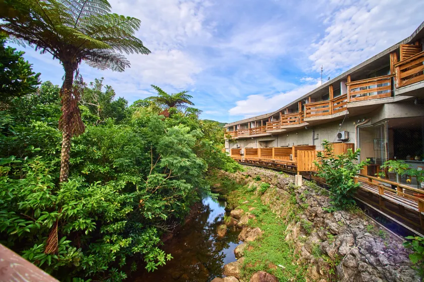 Iriomotejima-Jungle Hotel Painumaya - Image 1
