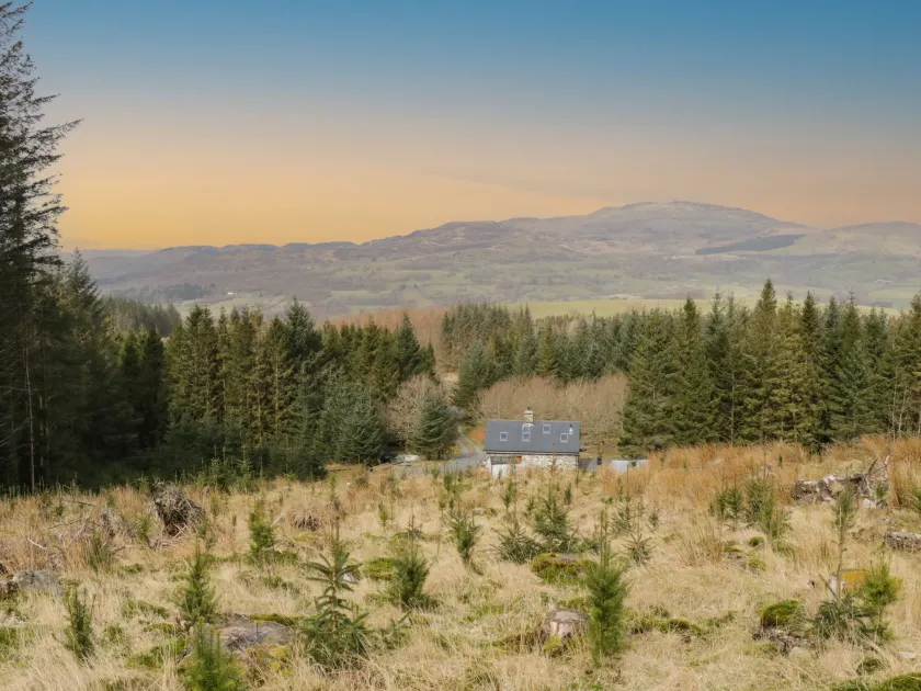 Brithgwm Canol - Image 1