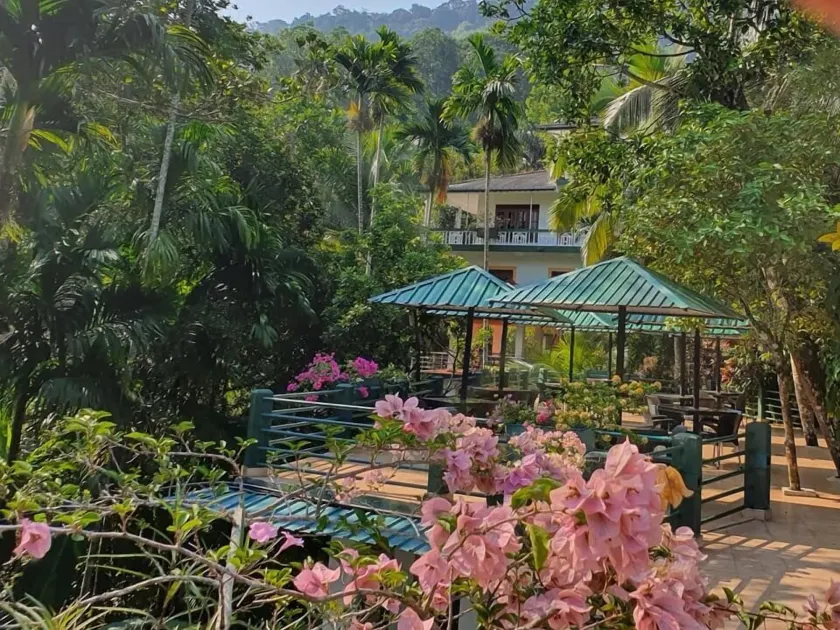 Sinharaja Park Hotel - Image 1