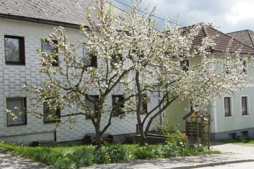 Biobauernhof Gollner - Image 1