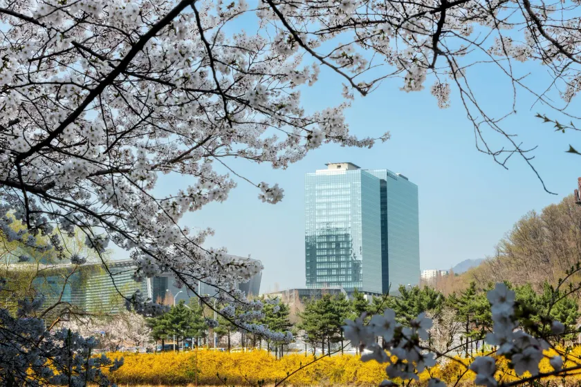 Doubletree By Hilton Seoul Pangyo Residences - Image 1