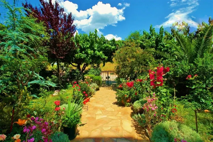 Sagini Boutique Hotel - Image 1