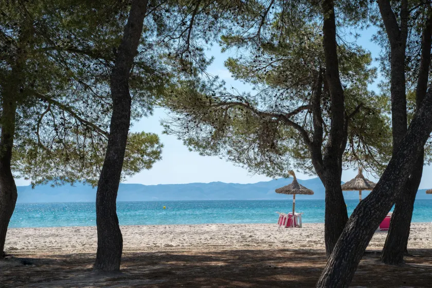 Apartamentos Caprice Playa de Alcudia - Image 1