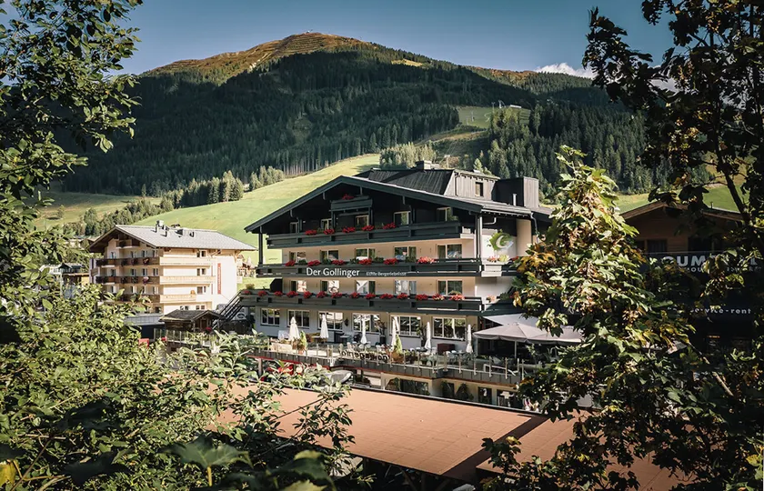 Der Gollinger - Image 1
