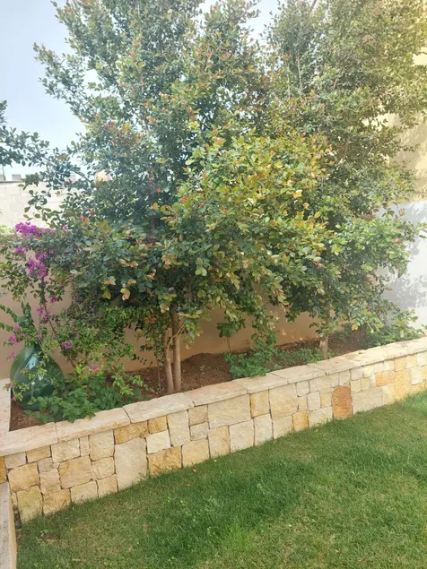 B&B "Sara" - Image 1