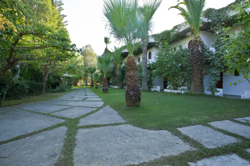Damnoni Paradise - Image 1
