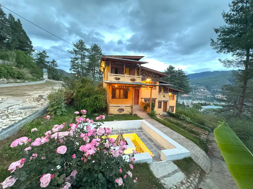 Dzi Pema - Image 1
