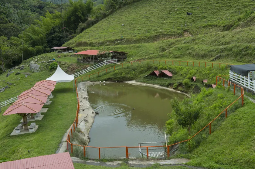Hacienda Charrascal Coffe Farm - Image 1