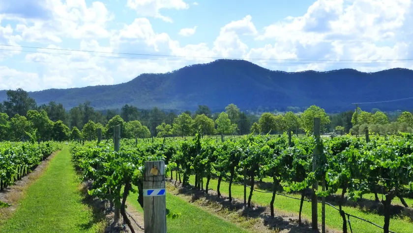 Winmark Wines - Image 1