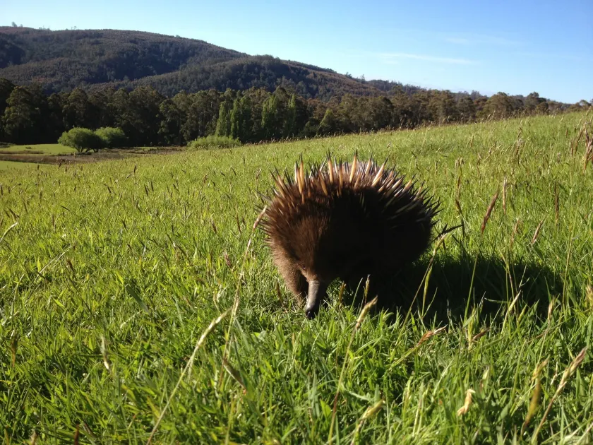 Silver Ridge Retreat - Image 1