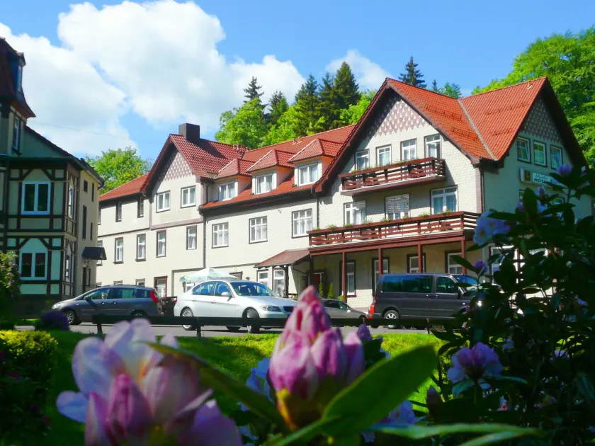 Waldhotel Friedrichroda - Image 1
