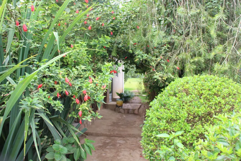 Kibale Eco-Home - Image 1