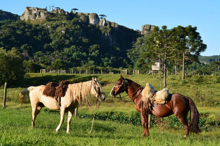 Hotel Fazenda Pedras Brancas - Image 1