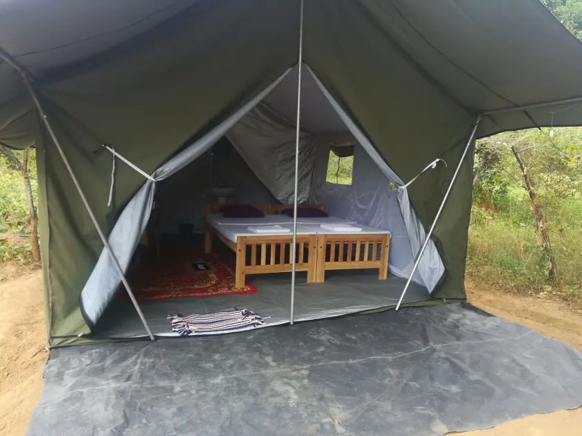 Wild eco safari - Image 1