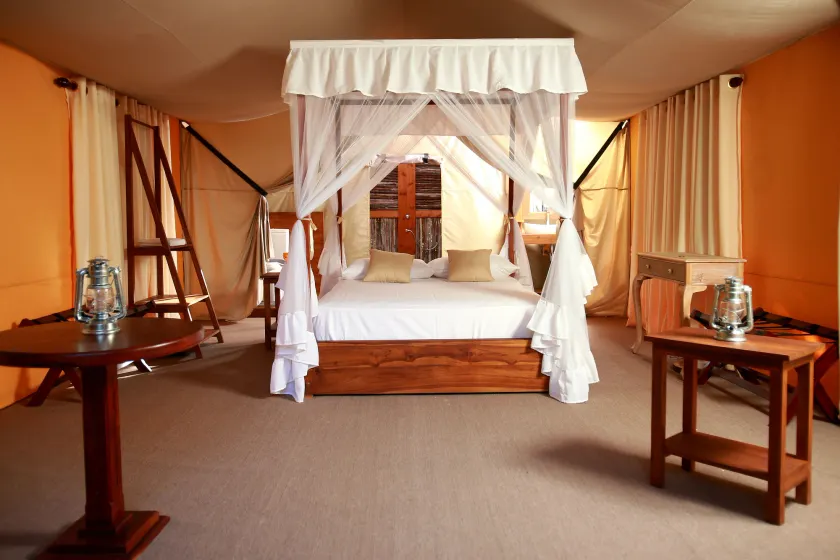 Yala safari and Relax camping - Image 1