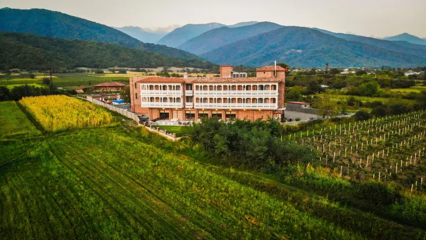 Chateau Artwine - Image 1
