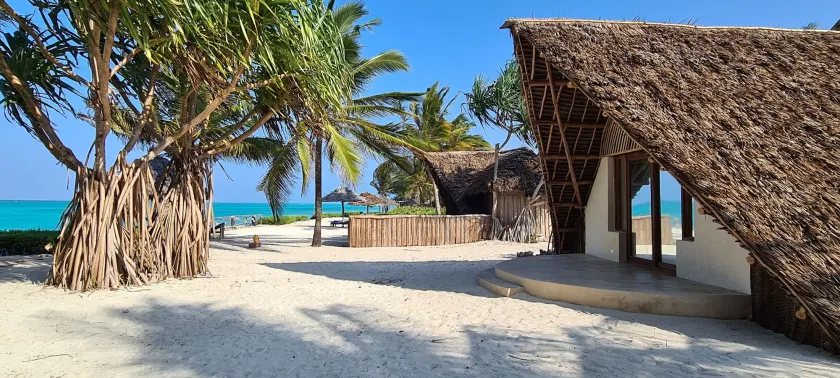 The Zanzibari - Image 1
