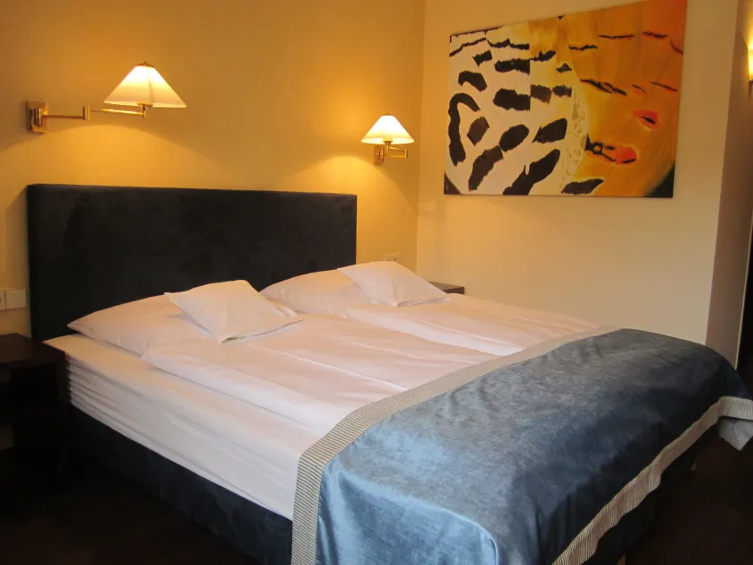 Central Hotel - Image 1