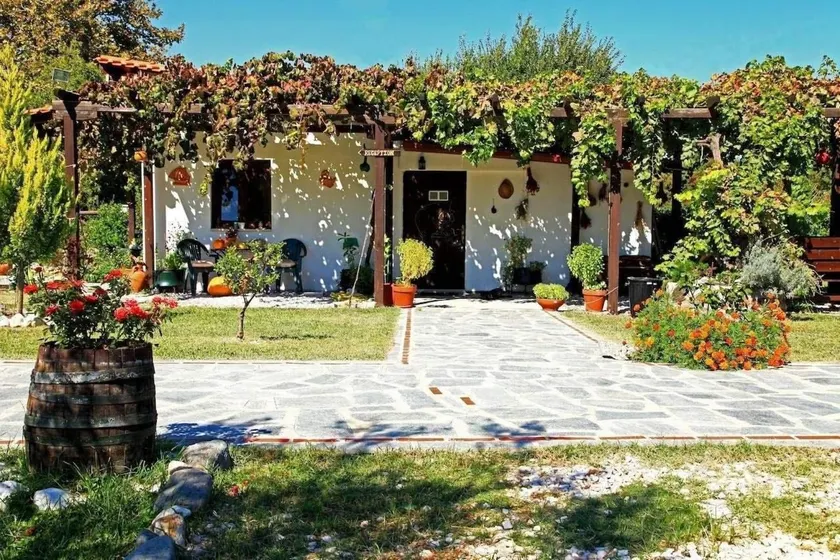 Dionysus Apartments & Suites - Image 1