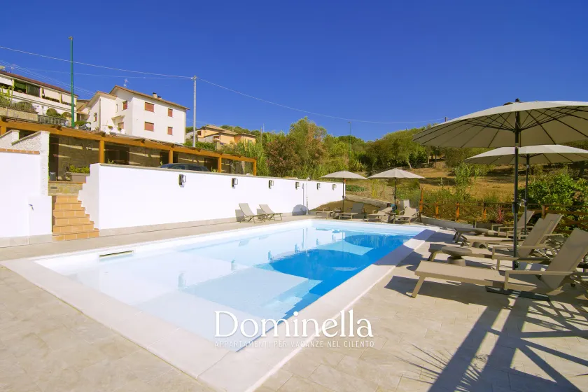 Dominella - Image 1