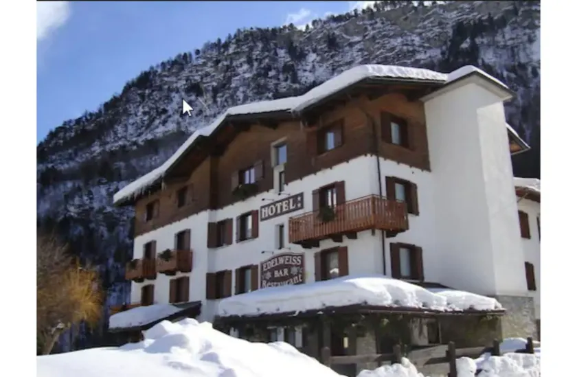 Hotel Edelweiss - Image 1