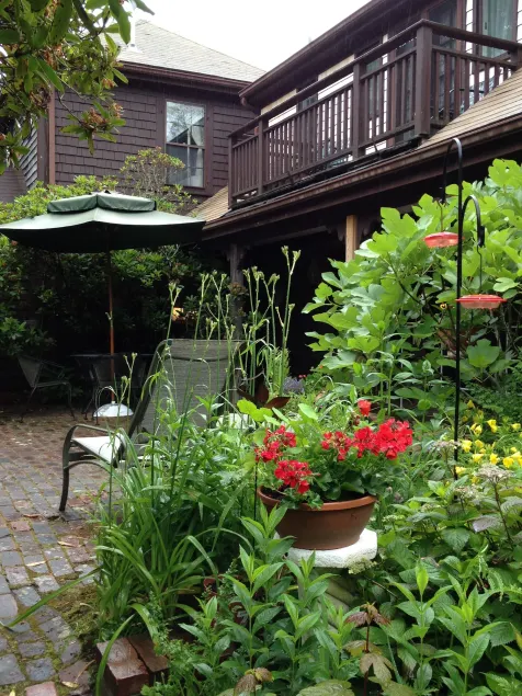 Nauset House Inn - Image 1