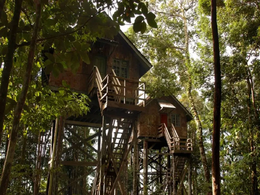 Permai Rainforest Resort - Image 1