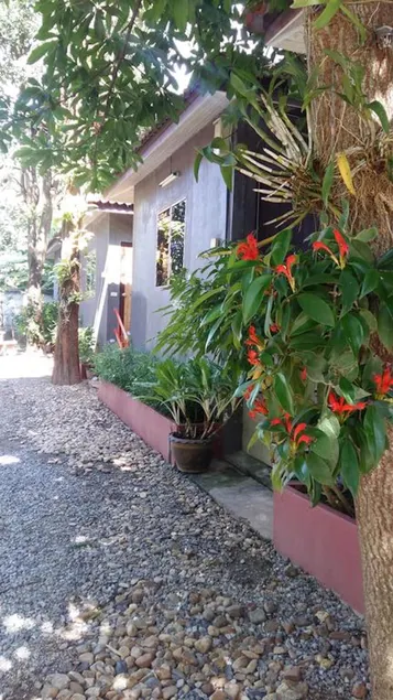 Blue Mountain Resort - Image 1